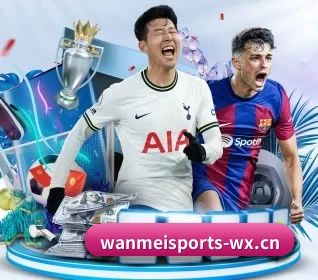 完美体育 APP(WANMEI SPORTS)